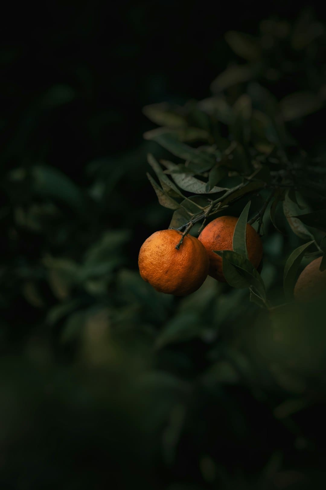 云霄县召开强降雨防范应对工作复盘会